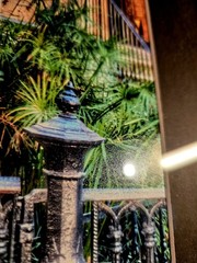 Mike Nocher Studio Signed «Bull Street» SC Professional Halide Photograph 18×22