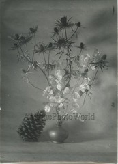 Thistle flower bouquet with pine cone vintage art still life photo