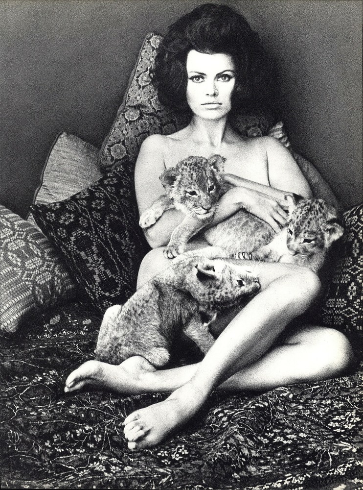 1966 Wingate Paine Female Nude Body Lion Cubs Art Photo Photogravure 16 X 20