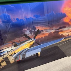 Peter Lik «Velocity» Airplane Aviation HUGE 6.5 Feet (2M) Picture with COA