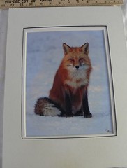 JUDY DEIST PHOTOGRAPH RED FOX OPEN EDITION