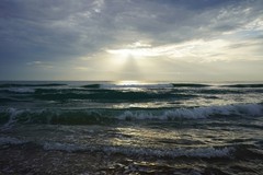 glossy fine art photographic images