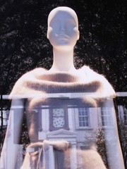 Modern Contemporary Framed Photography Nathalie DARBELLAY Showcase Paris
