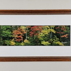 ART – Signed Gary Love Photograph 21.75×11.75 Framed Landscape Art – Maine Trees