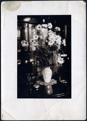 Larger size Vintage fine art Photograph, still life w flowers, 1920’s