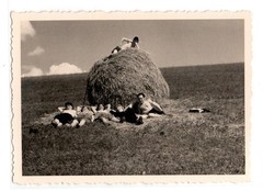 Photography Hay Harvest Leisure Photo Young People Baling Hay (K1060)