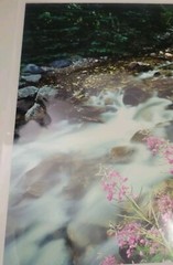 Don Ament «Running Through My Mind»Signed Matted Nature Creek Photograph 16″x20»