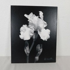 2 Black & White Iris Foam Core Mounted Signed D Carlton Photo Pacific NW Artist