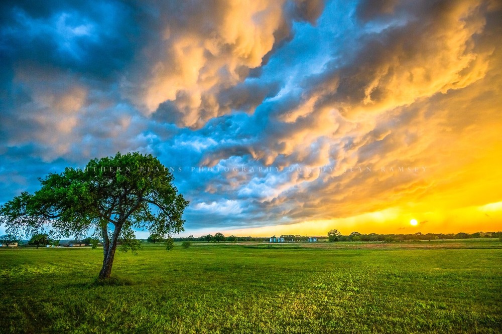 Storm Clouds Photography Print: Texas Sunset Sky Landscape Tree Weather Photo