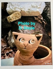 «Lizard on my Head» Photograph of Ceramic Cat w Lizard