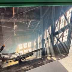 Peter Lik «The Reaper» 150cm 5’x3′ Aviation Plane Recess Mount Picture with COA