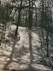 SNOW TREES FOOTSTEPS ORIGINAL SIGNED ART PHOTO B&W STETTNER VTG MATTE NJ CAMERA