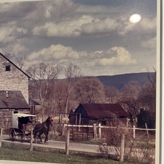 Authentic Signed Print Amish No 399 Artist Proof By Bill Coleman, Framed 14×17
