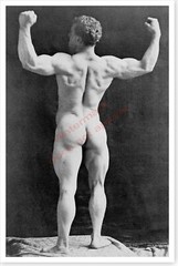 Bodybuilder Eugene Sandow Nude Beefcake Silver Halide Photo Gay Interest