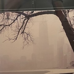 Signed Framed 30×20 Photograph Of Downtown Chicago Winter Gary Steinke