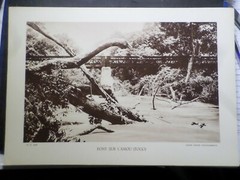 Heliogravure Photo Cliche’ Bridge Over the Amou Togo, Ancient Old, 20×29