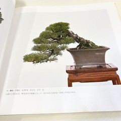 Nihon Bonsai Sakufu Ten 5th 1980 potted plants Japanese tradition art Photo Book