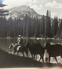 Original HARRY ROWED ‘Morning in the Valley’ Horseback in CANADA Mountains PHOTO