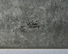 59″ x 7 3/4″ Panoramic Negative From Jiro Kai (1883-1974) Denver Colorado