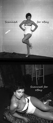 16 NEGATIVES LEGGY BUSTY ACTRESS ANNE AUBREY WARWICK FILMS STAR GLAMOUR – 1950s