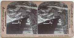 Monaco Garden Of The Prince Photography Stereo Vintage Analogue