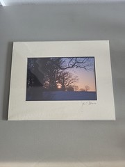 Photography Print By John T Slonina Matted 8×10 Winter Sunrise Through The Trees