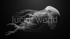 4 Deep Sea Jellyfish Printable Glowing Ocean Wall Art Digital Download PNG Set