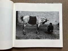 🎈SALE! Josef Koudelka Exiles Revised and Expanded 1997 HC DJ RARE! Super Book!