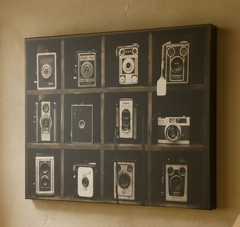 Vintage Cameras Photo Print, «Camera Cubby». Film Photography Wall Art – New!
