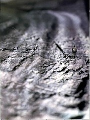 Kate Belton Art Announcement Card March 2000 – Still – Photography Show NYC