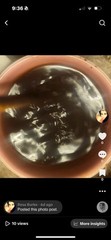 I am a psychic reader I use water to connect and provide photos of the answers