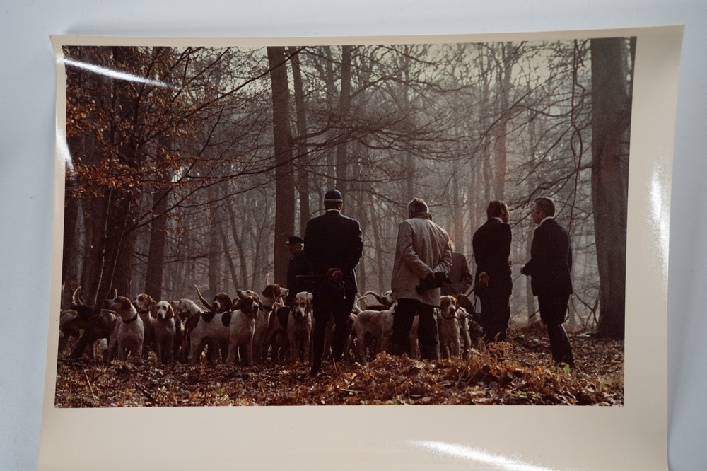 Vintage Analog Photo France Hunting With Hounds Horse Dog 18X24Cm 1970