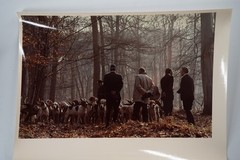 Vintage Analog Photo France Hunting With Hounds Horse Dog 18X24Cm 1970
