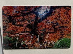 Todd Moses Photographic Print Tacoma Washington Narrows Bridge Colorful