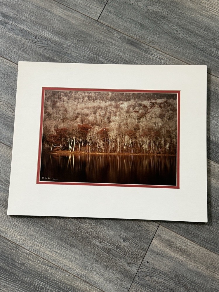 Landscape Photo Print Matted 18”x15” Tree Forrest Cottagecore Farmhouse Country