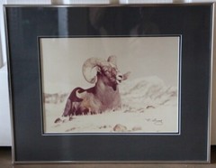 Bighorn Sheep Photograph Framed Wildlife Nature Picture 16″X20″ W. Perry Conway