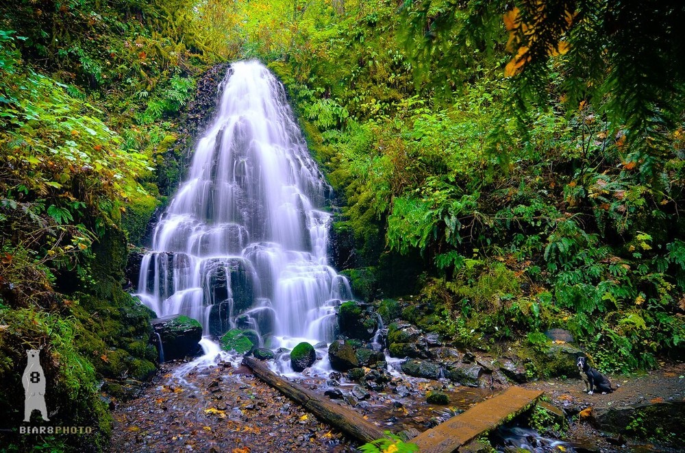 Fairy Falls – Columbia River Gorge, Oregon – Photography Prints / Wall Art