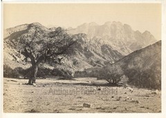 Mount Serbal Egypt view antique albumen photo by Fancis Frith
