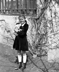 LOT 2x PHOTO NEGATIVE, sweet girl w sweet dog, sheeps, animals, funny, unusual,