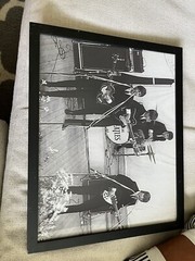 Beetles picture