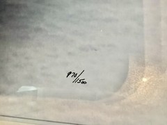 Thomas D. Mangelsen Signed Polar Bear Limited Edition 970/1500 Photograph Art