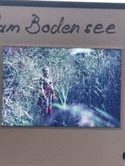 🌠55 Vintage Color Slides Slide 60-80s Lake Constance Mainau Rhine Falls Nature Places Travel +