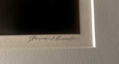 Original Signed HOWARD BOND ‘Leaves w/ Rain» Delhi Rapid Huron River Photograph