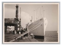 Dampfer Seven Seas am Hafen – Schiff Reise – Altes Foto 1950er