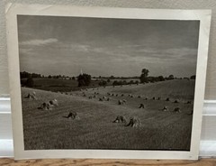 Arthur Gray Standard Oil Photographer Cleveland Ohio Americana Haystacks Monet