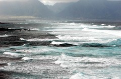 Stunning Hawaii Maui North Shore Surfers and Big Ocean Waves 8×10 Photo Picture
