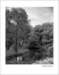 New York City Nature – 11×14” Print – Signed by Photographer Richard Serviss