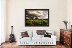 Storm Photography Print: Nebraska Vineyard Grape Vines Thunderstorm Photo
