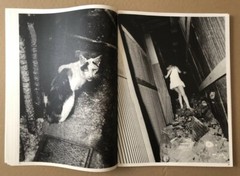 🎈 RARE! Super Book! Daido Moriyama: Vintage Prints Shine Gallery 1Ed 2004 SALE!