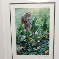 KING WU Framed Art Photo Print SUMMIT LAKE WA HIKE Landscape COA Signed Numbered